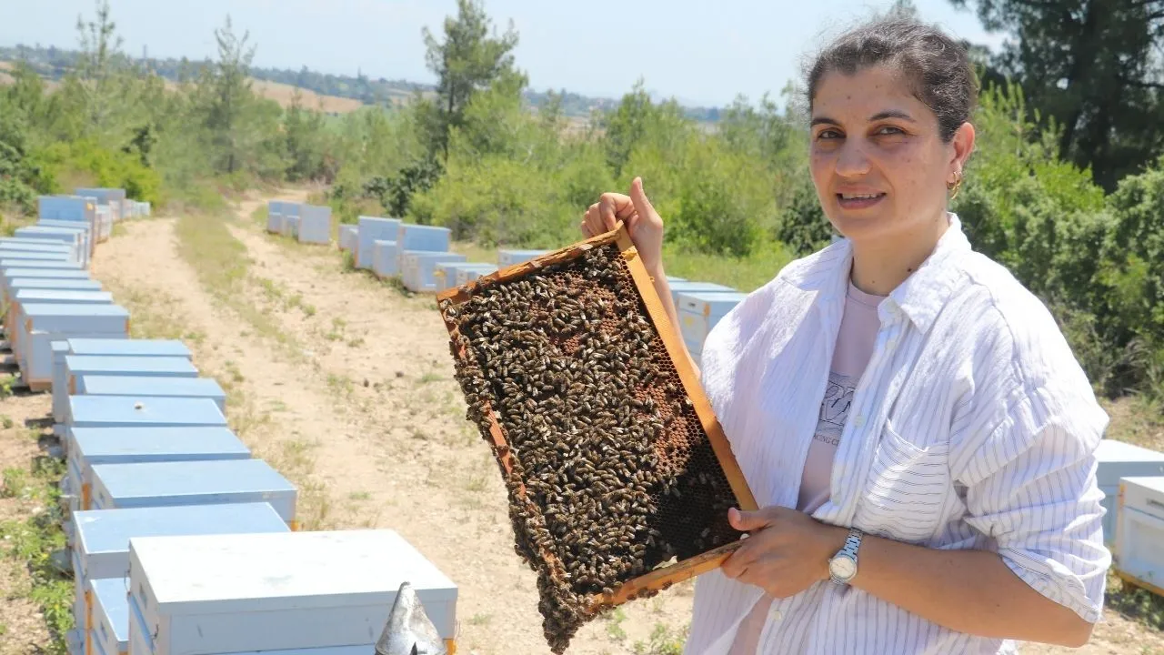 Adanalı kadın üretici bal üretiminde rekor kırdı