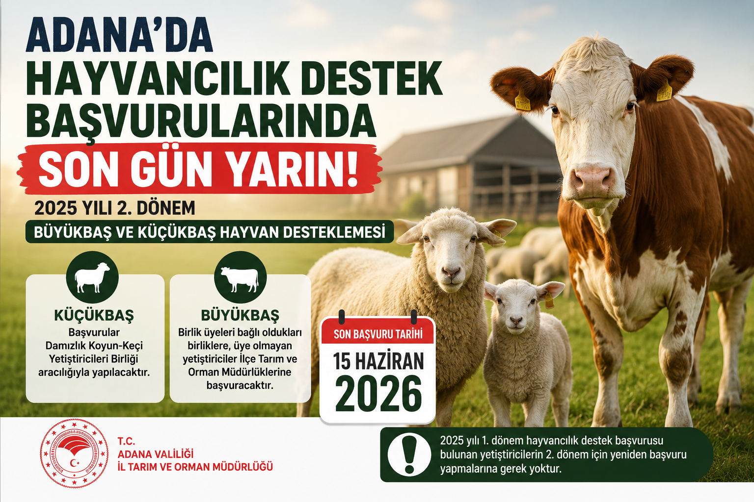 Adana’da hayvancılık destek başvuruları yarın sona eriyor