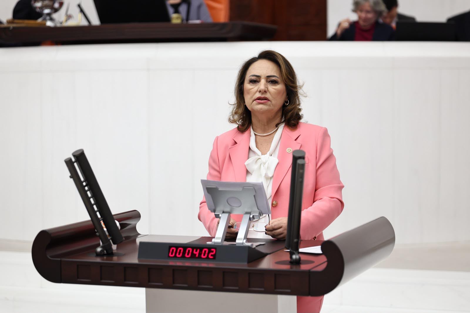 TBMM'de Adana sesleri yankılandı