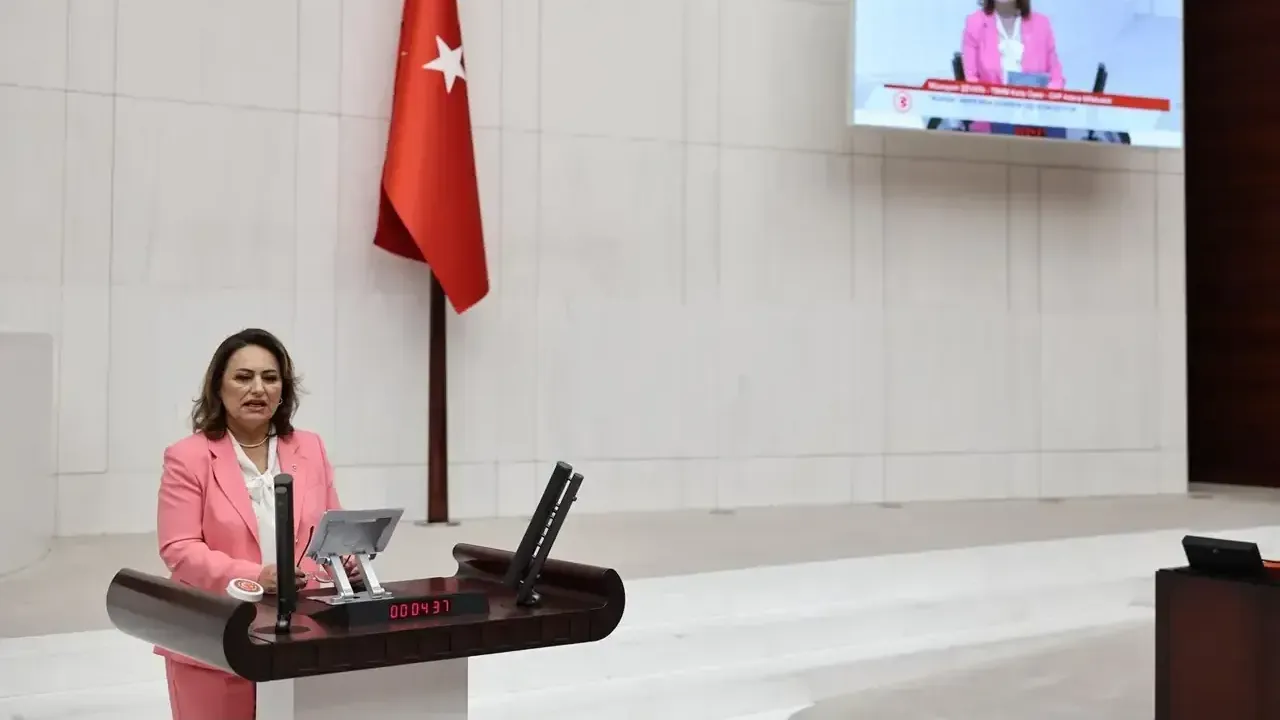 Müzeyyen Şevkin, Adana’nın sorunlarını TBMM gündemine taşıdı