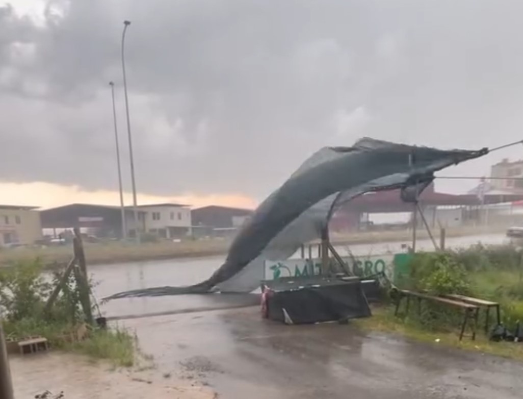 Adana'da kuvvetli rüzgar ve yağış ekili oldu, seralar zarar gördü