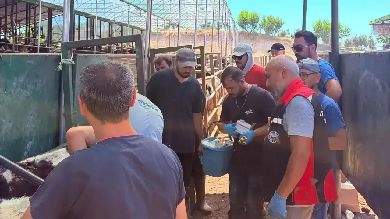 Sarıçam’da hayvan sağlığı denetimleri sürüyor