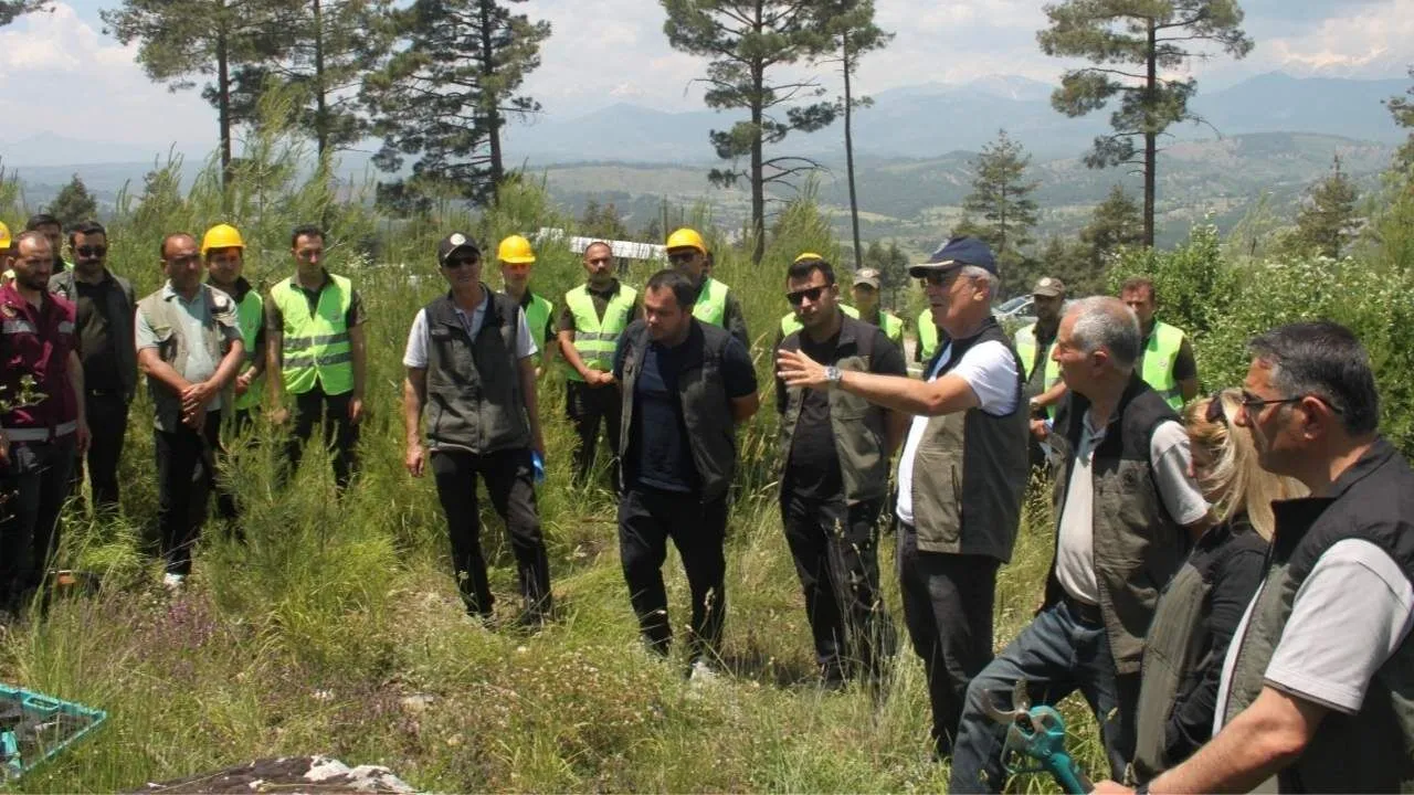 Adana Orman Bölge Müdürlüğü’nden sahada silvikültür eğitimi