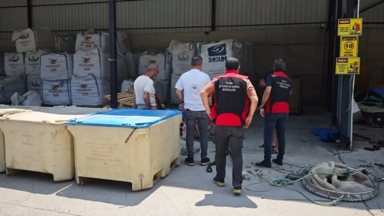 Kozan’da somon balığı hasadı yerinde incelendi