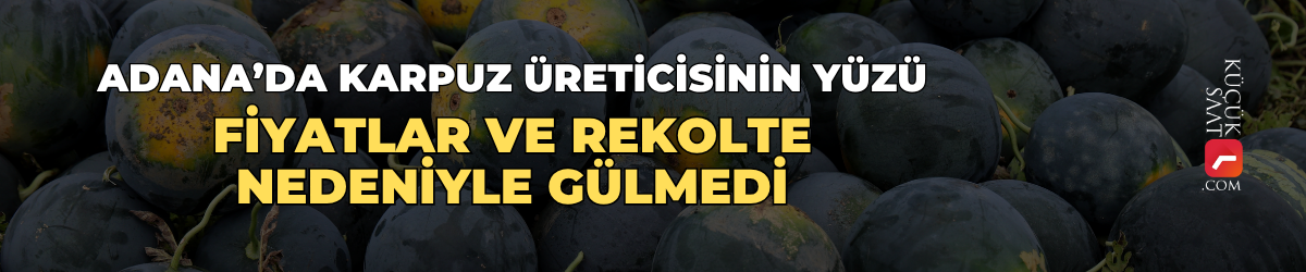 Adana’da karpuz üreticisinin yüzü fiyatlar ve rekolte nedeniyle gülmedi.
