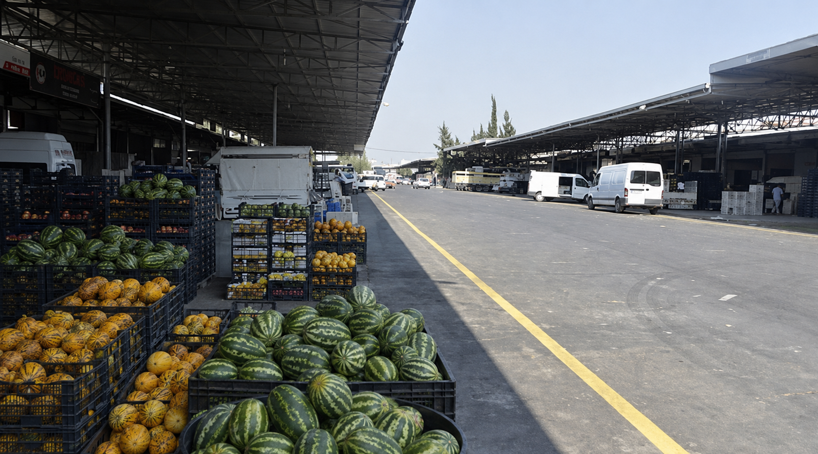 Adana Hali’nde 600 kilo karpuz ve kavun hırsızlığı