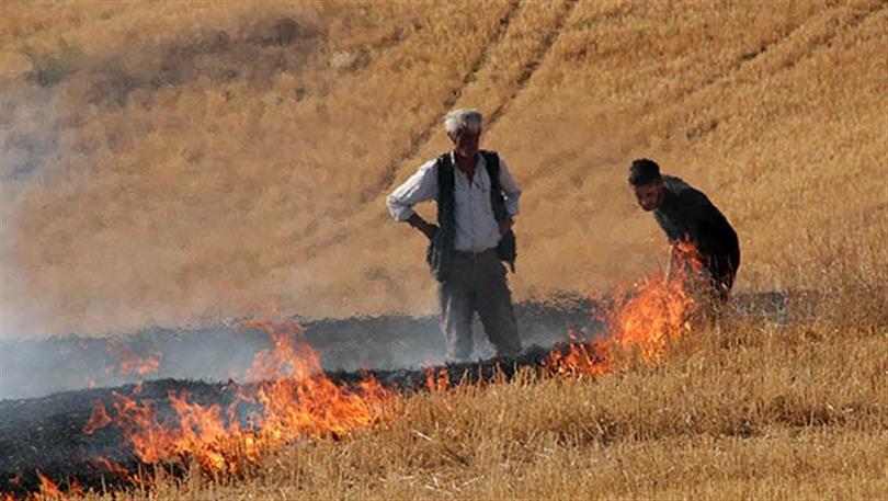 Adana’da çiftçilere anız uyarısı: Ceza 5 kat artabilir