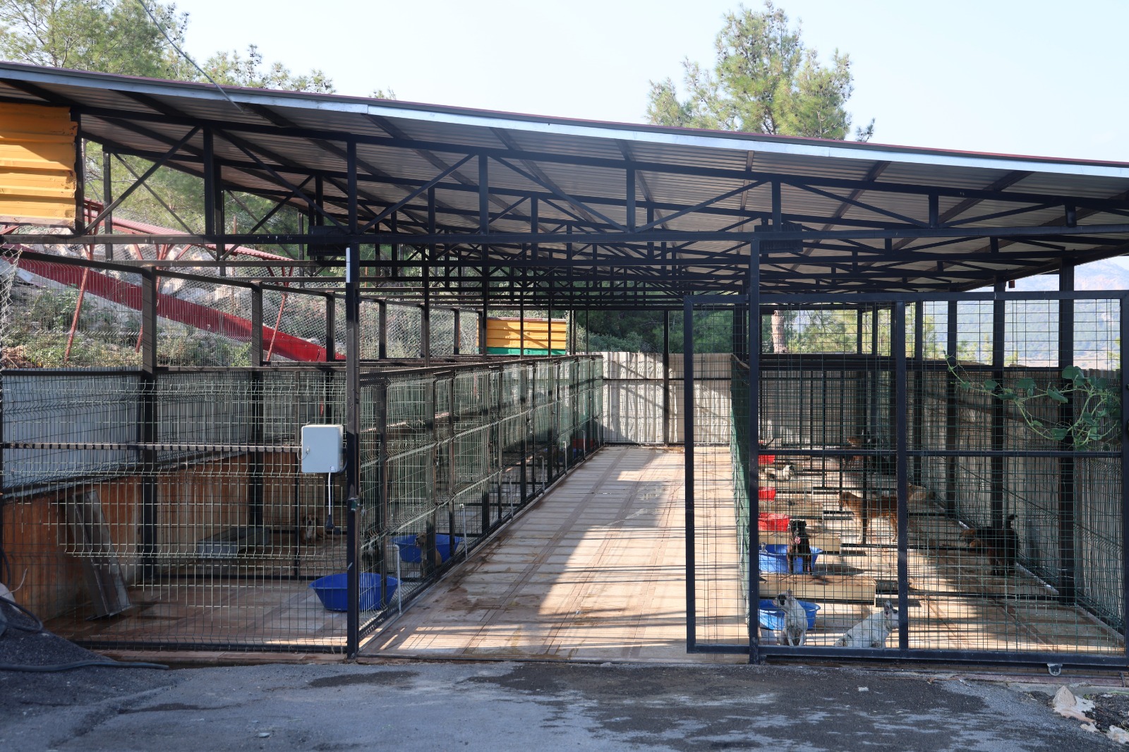 Kozan’da hayvan bakım ve rehabilitasyon merkezi hizmete girdi