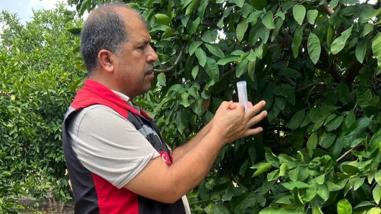 Kozan’da biyolojik mücadele için 108 bin arı doğaya salındı
