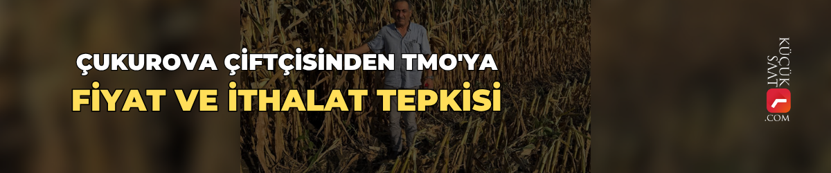 Çukurova Çiftçisinden TMO'ya fiyat ve ithalat tepkisi
