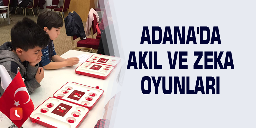 Adana'da Akıl ve Zeka Oyunları