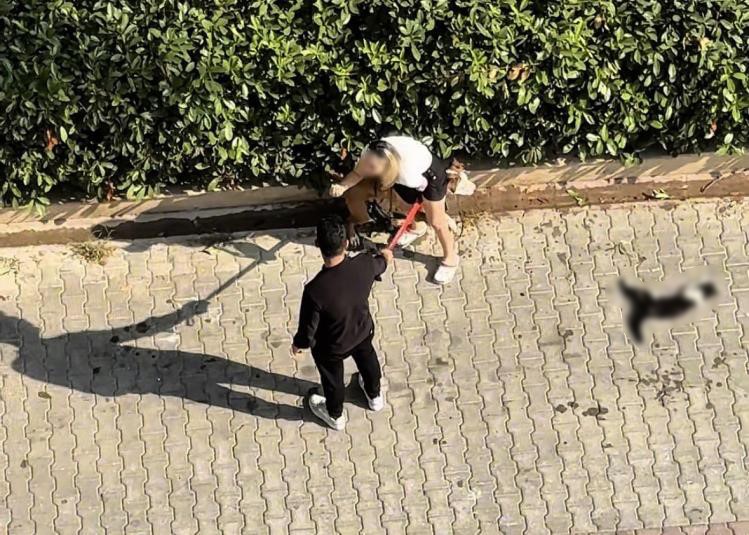 Pitbull saldırısında yeni gelişme: Köpeğin sahibine 95 bin TL ceza