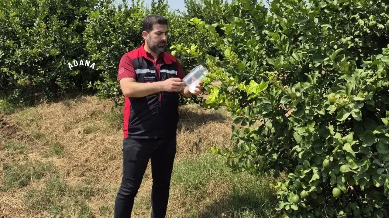 Sarıçam’da tarımsal üretim adım adım takip ediliyor