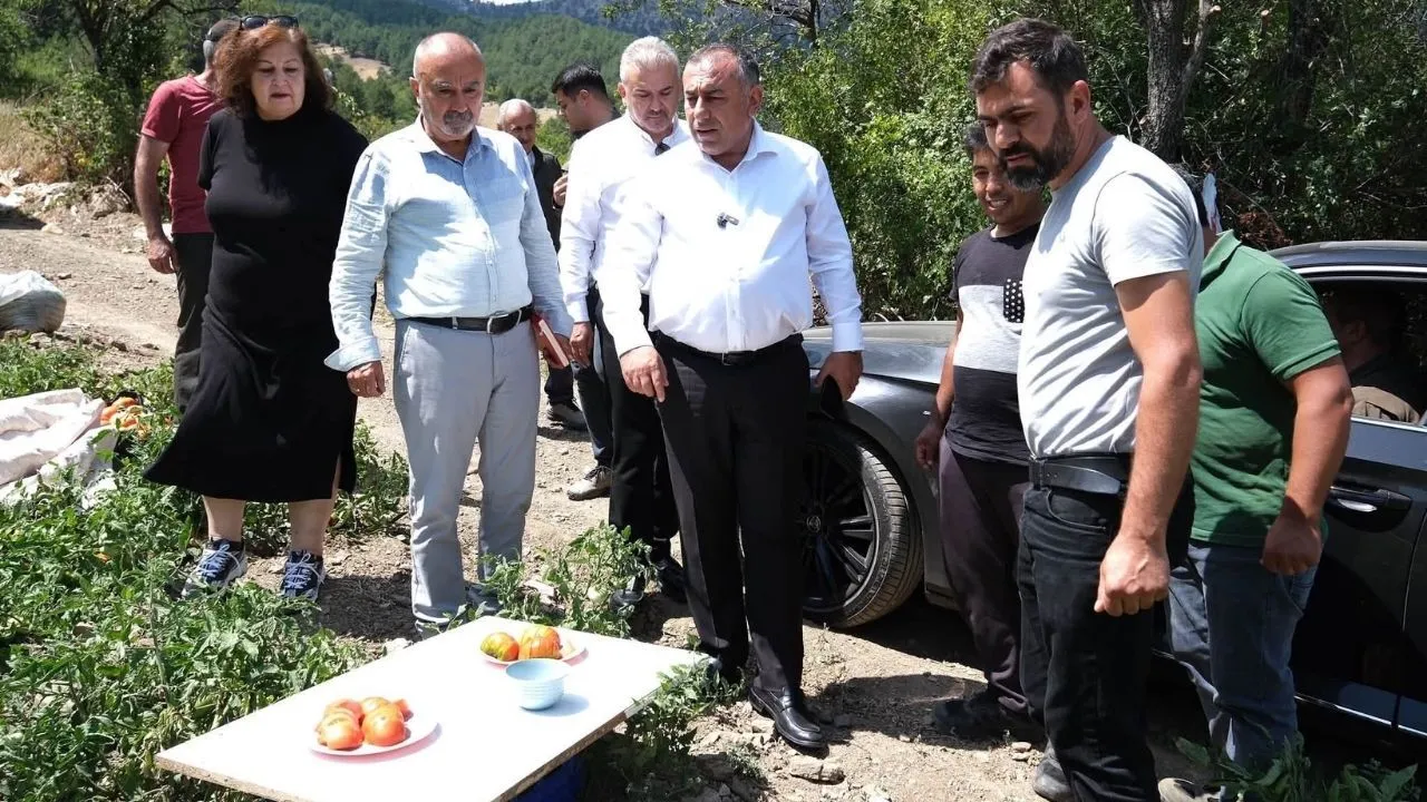 Adana Büyükşehir’in fide desteği Saimbeyli’de hasada dönüştü
