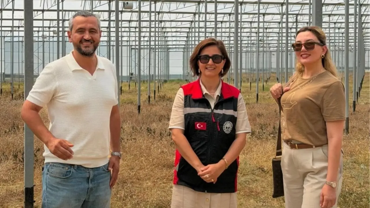 Karaisalı’da avokado üretimine yeni sera yatırımı
