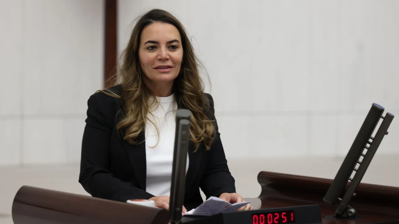 Ayyüce Türkeş Taş: “Milletin ilacı da parası da sahipsiz değildir”