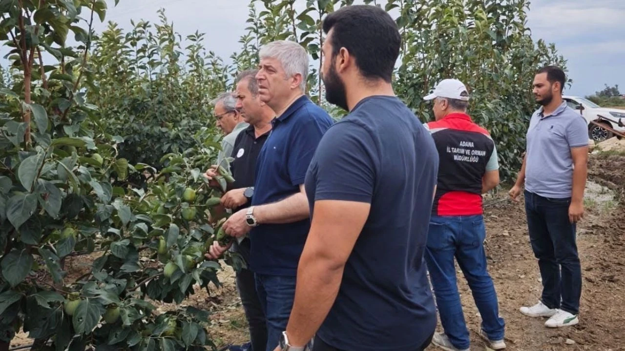 Kozan’da dolu sonrası hasar tespiti başladı