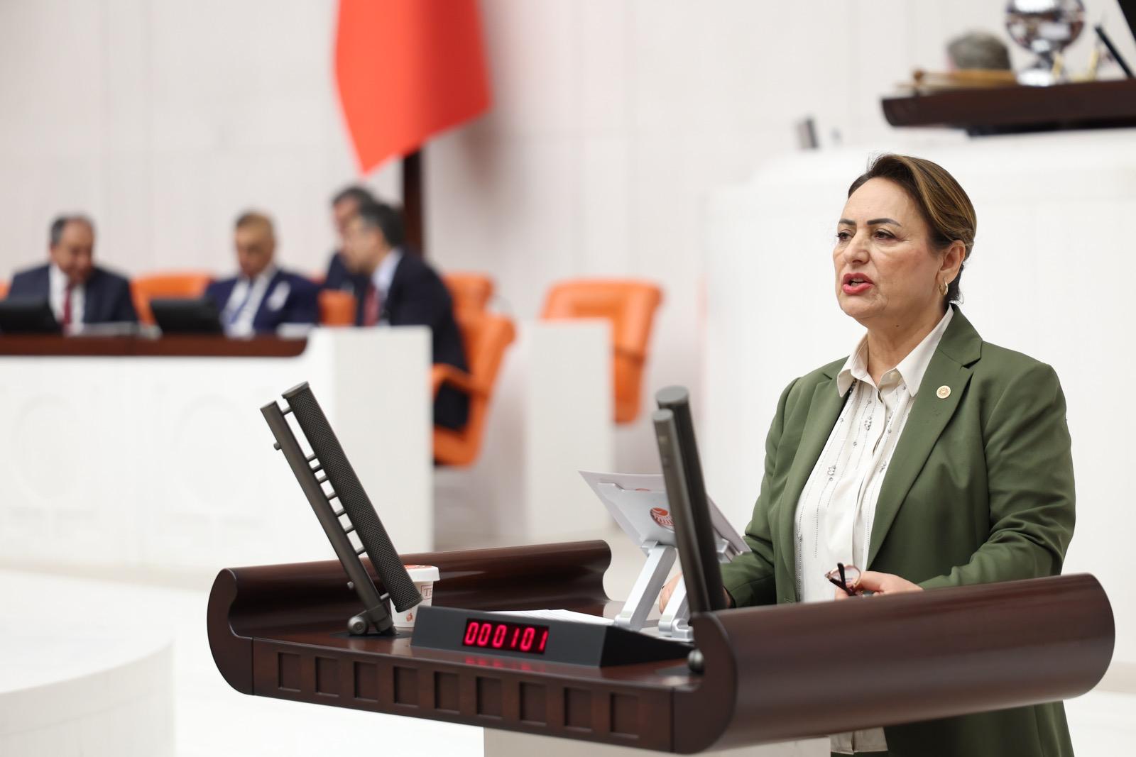 Müzeyyen Şevkin’den akademik liyakat ve eşitlik çağrısı