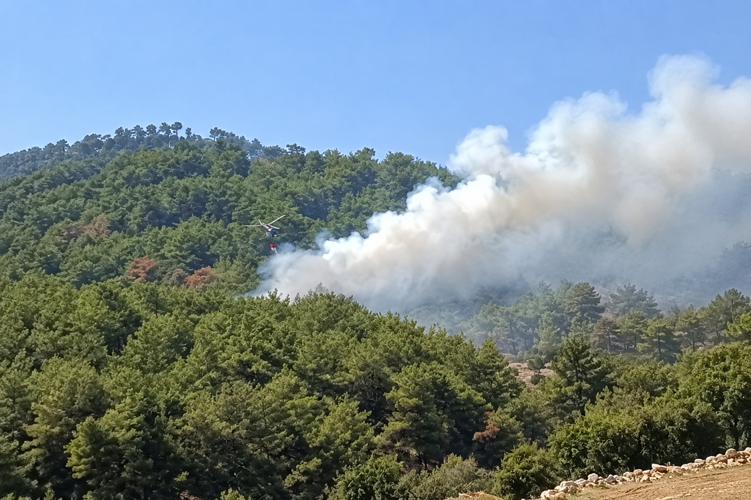 Kozan’da kontrol altına alınan ormanlık alanda yeniden yangın çıktı