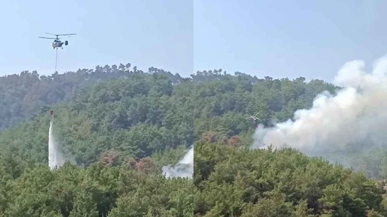 Kozan’da yeniden alevlenen orman yangını kontrol altına alındı