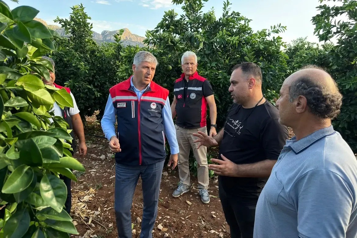 Adana’da dolu tarım arazilerini vurdu: Hasar tespit çalışmaları başladı