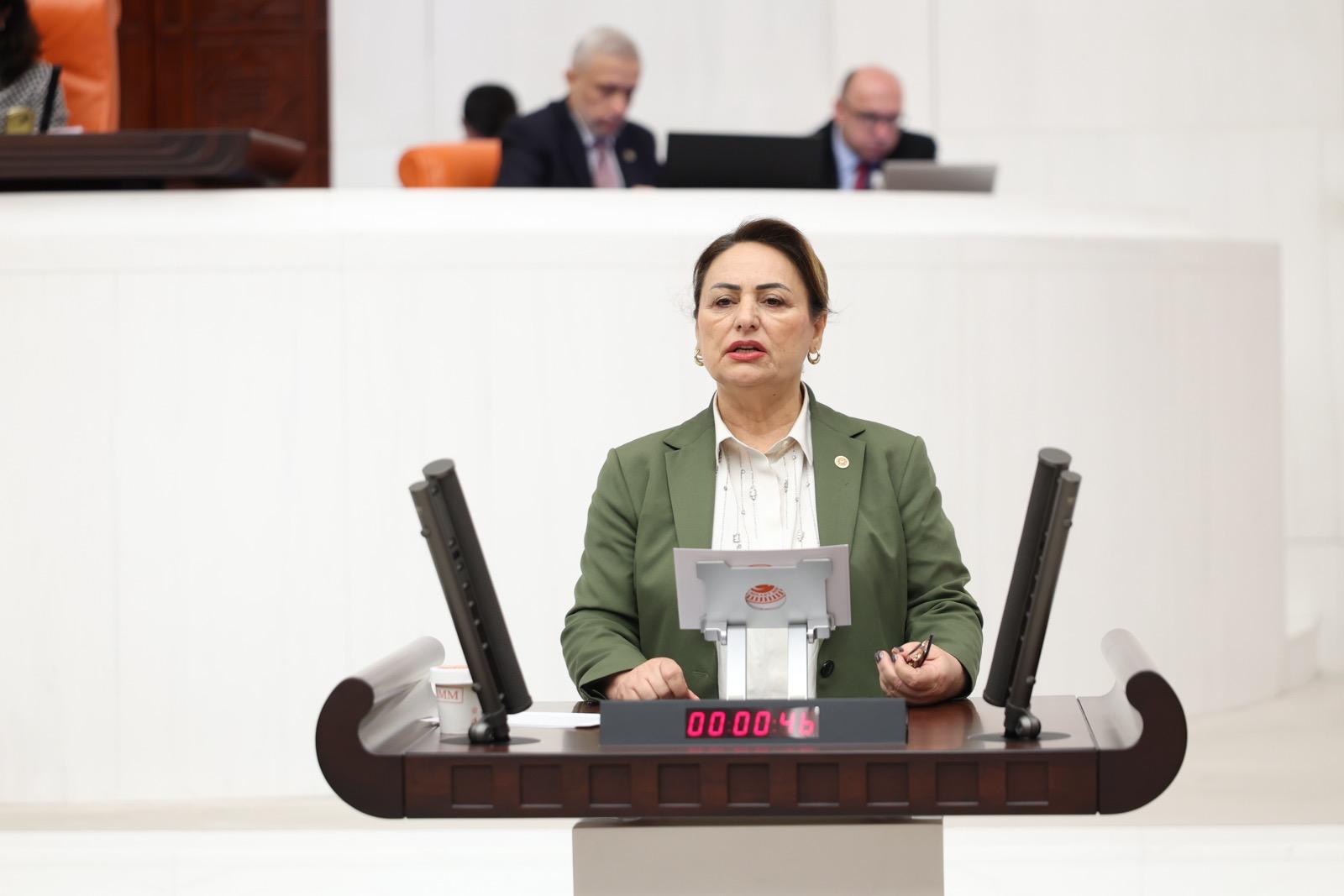 CHP Adana Milletvekili Müzeyyen Şevkin: “Bakım emeği görülmeli, destek hak temelli olmalı”