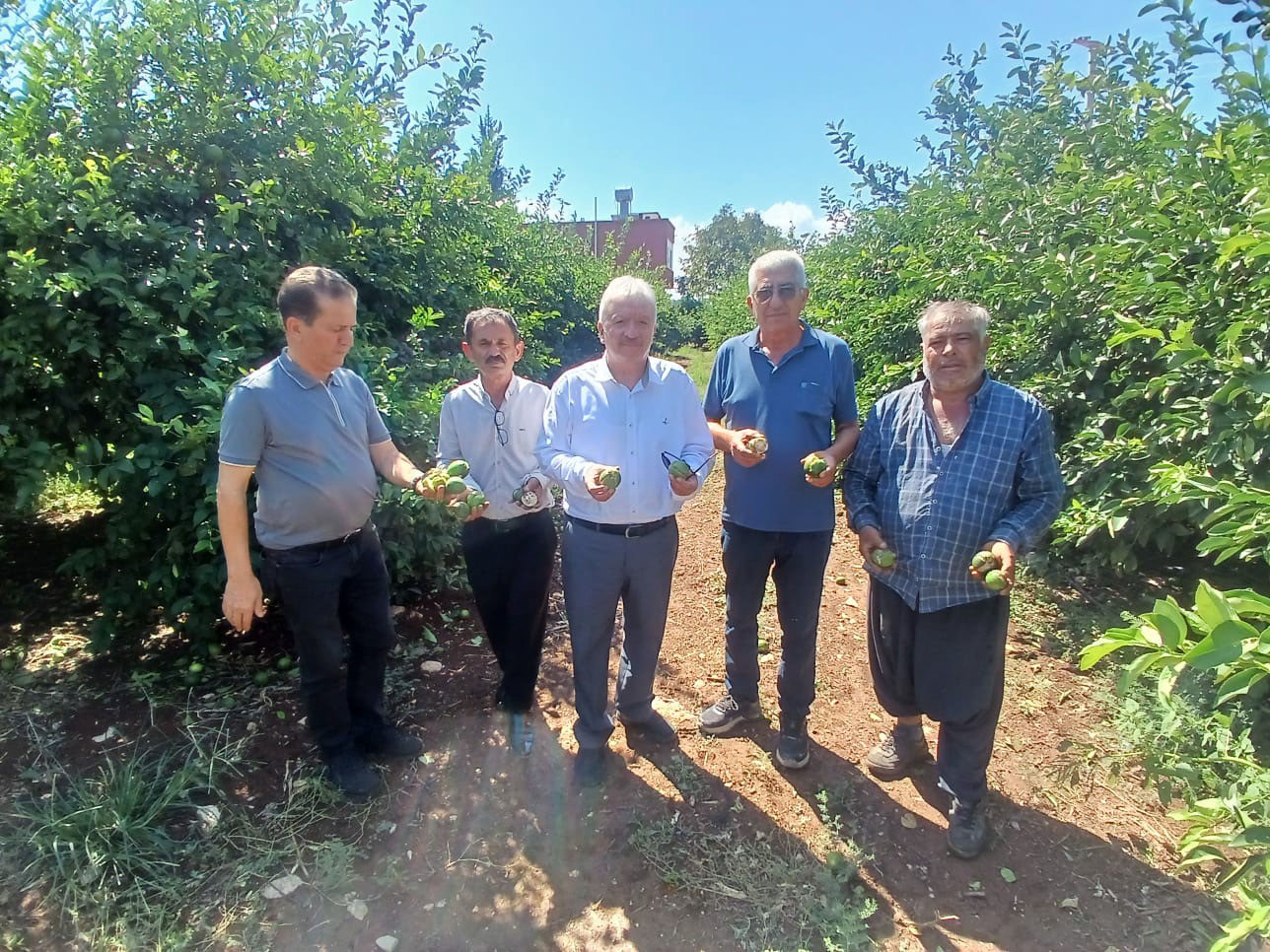 Adana’da dolu yağışının ardından 35 bin dönüm tarım arazisinde hasar oluştu