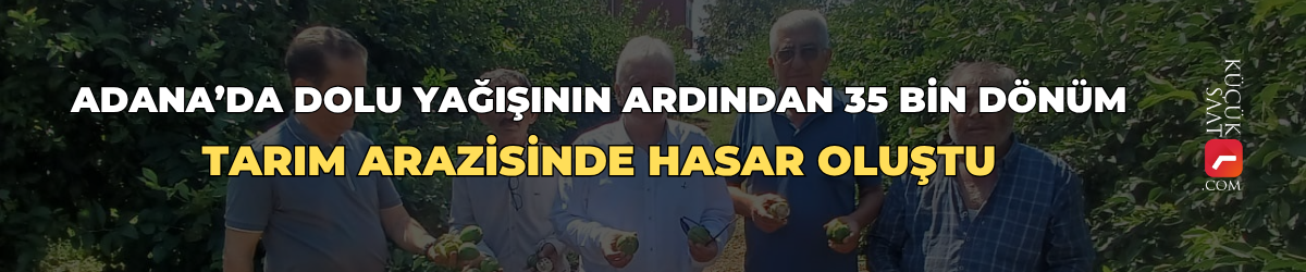 Adana’da dolu yağışının ardından 35 bin dönüm tarım arazisinde hasar oluştu