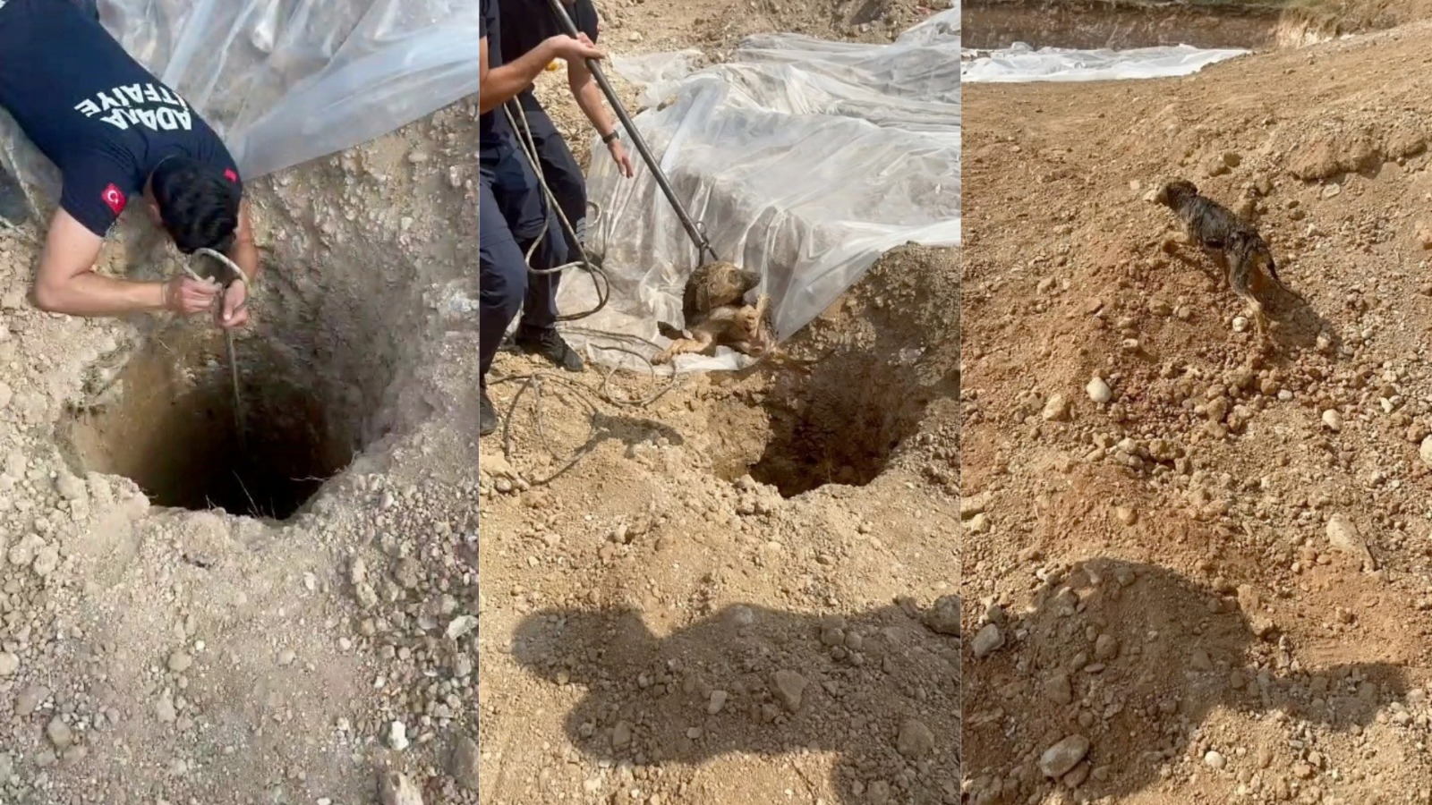 Adana’da kuyuya düşen köpek itfaiye ekiplerince kurtarıldı
