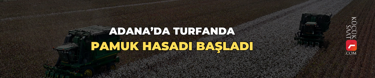 Adana’da turfanda pamuk hasadı başladı