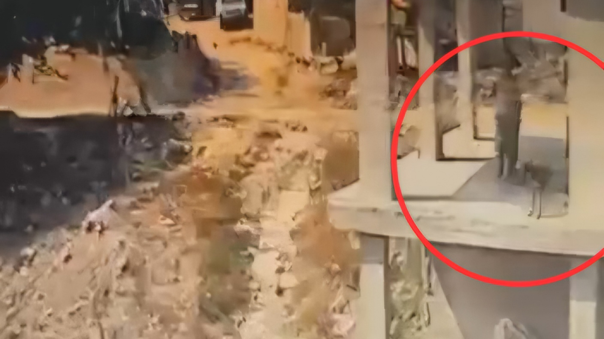 Adana’da köpeğe sopayla şiddet kamerada: Soruşturma başlatıldı