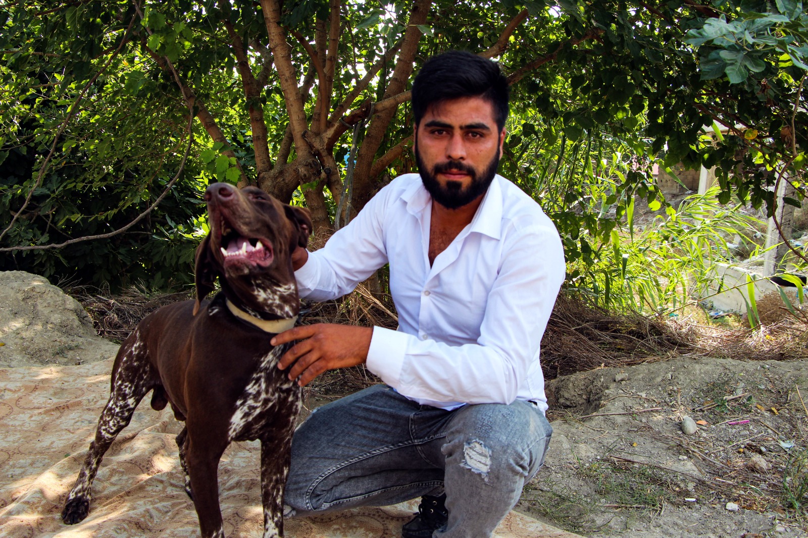 Adana’da köpeğe sopayla şiddet: “Tavuklarıma saldırdı” diyerek kendini savundu