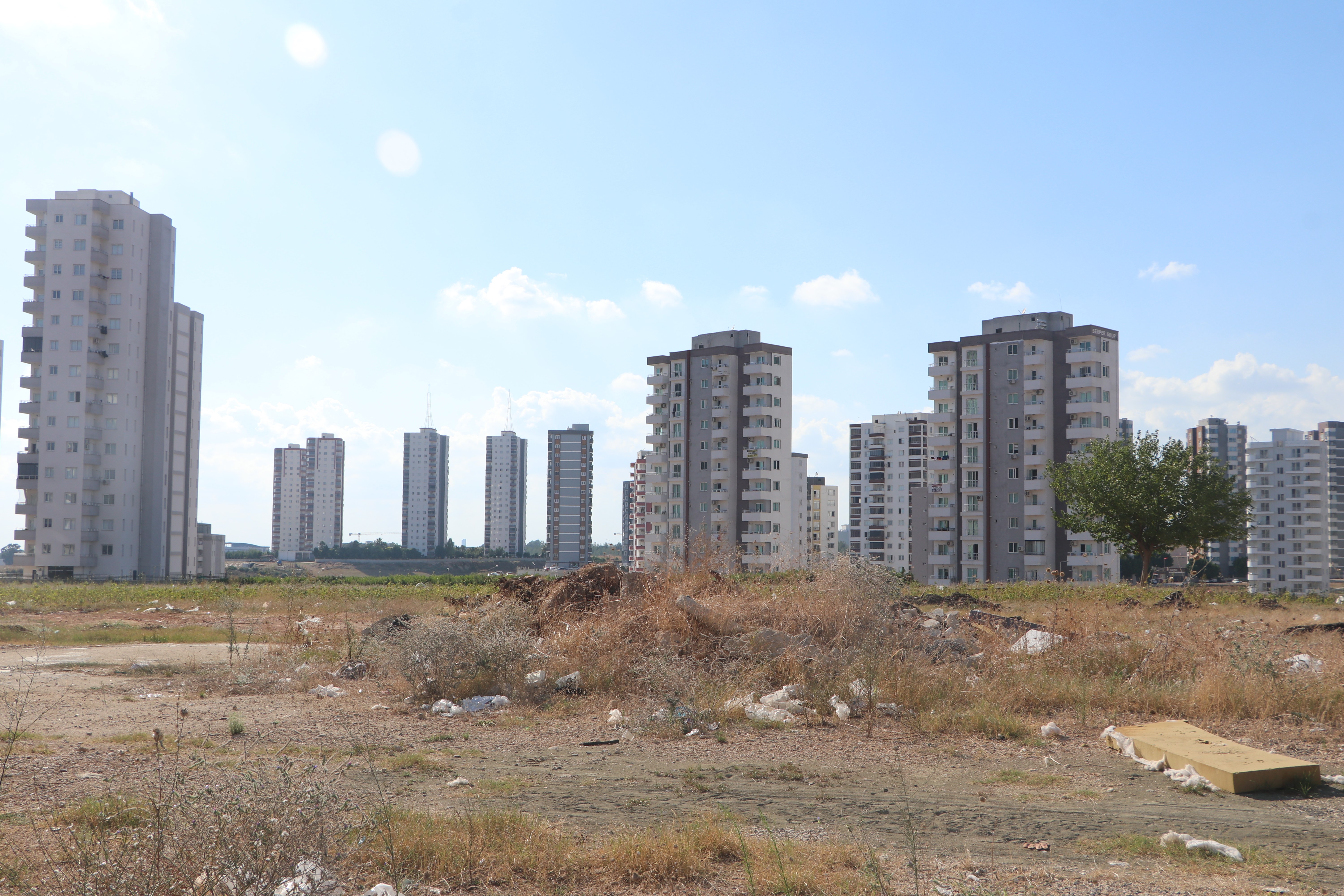Adana’da cırcır böceği sesleri vatandaşları rahatsız ediyor