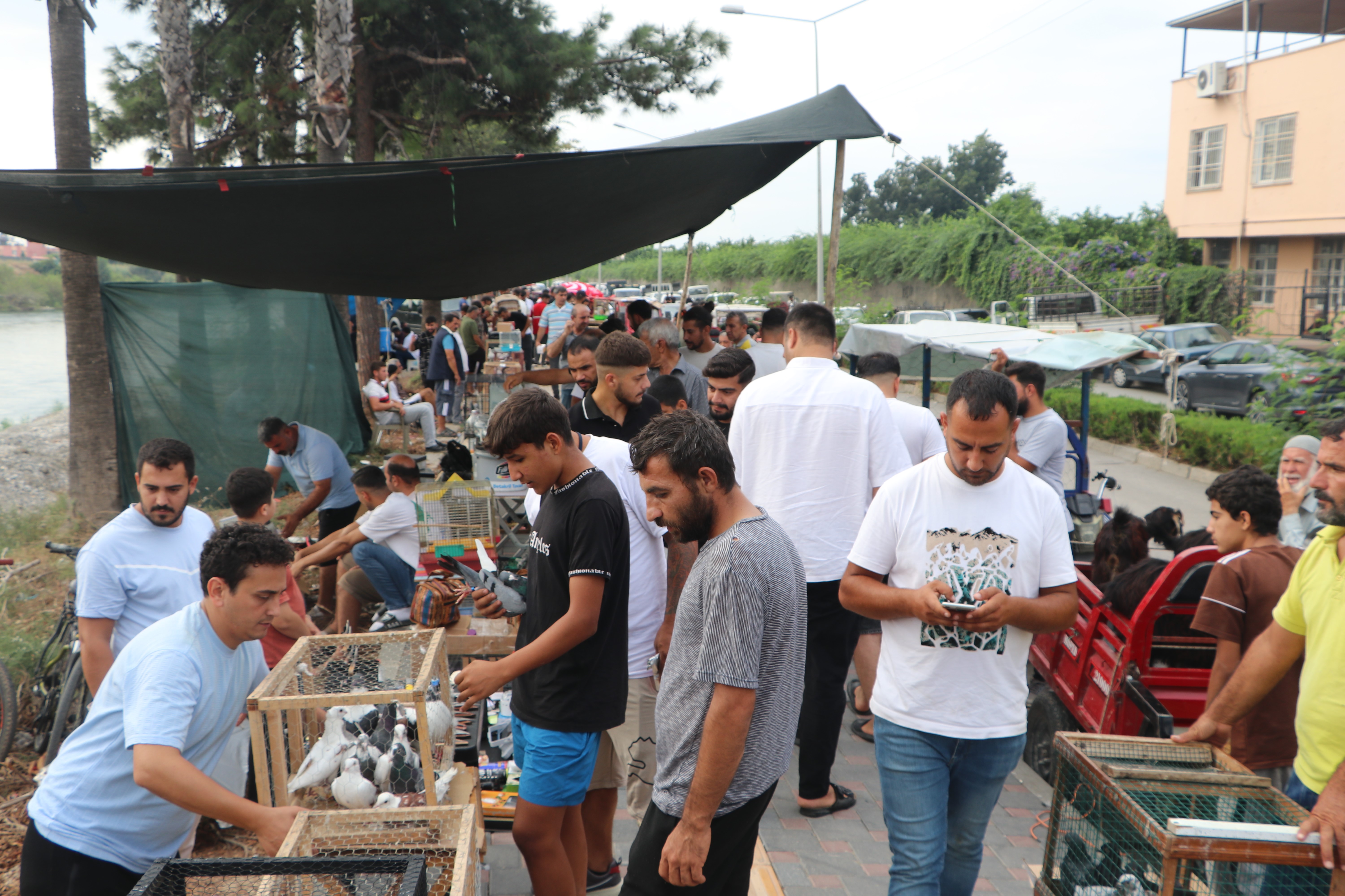 Adana'da kuş meraklıları kuş pazarında buluşuyor