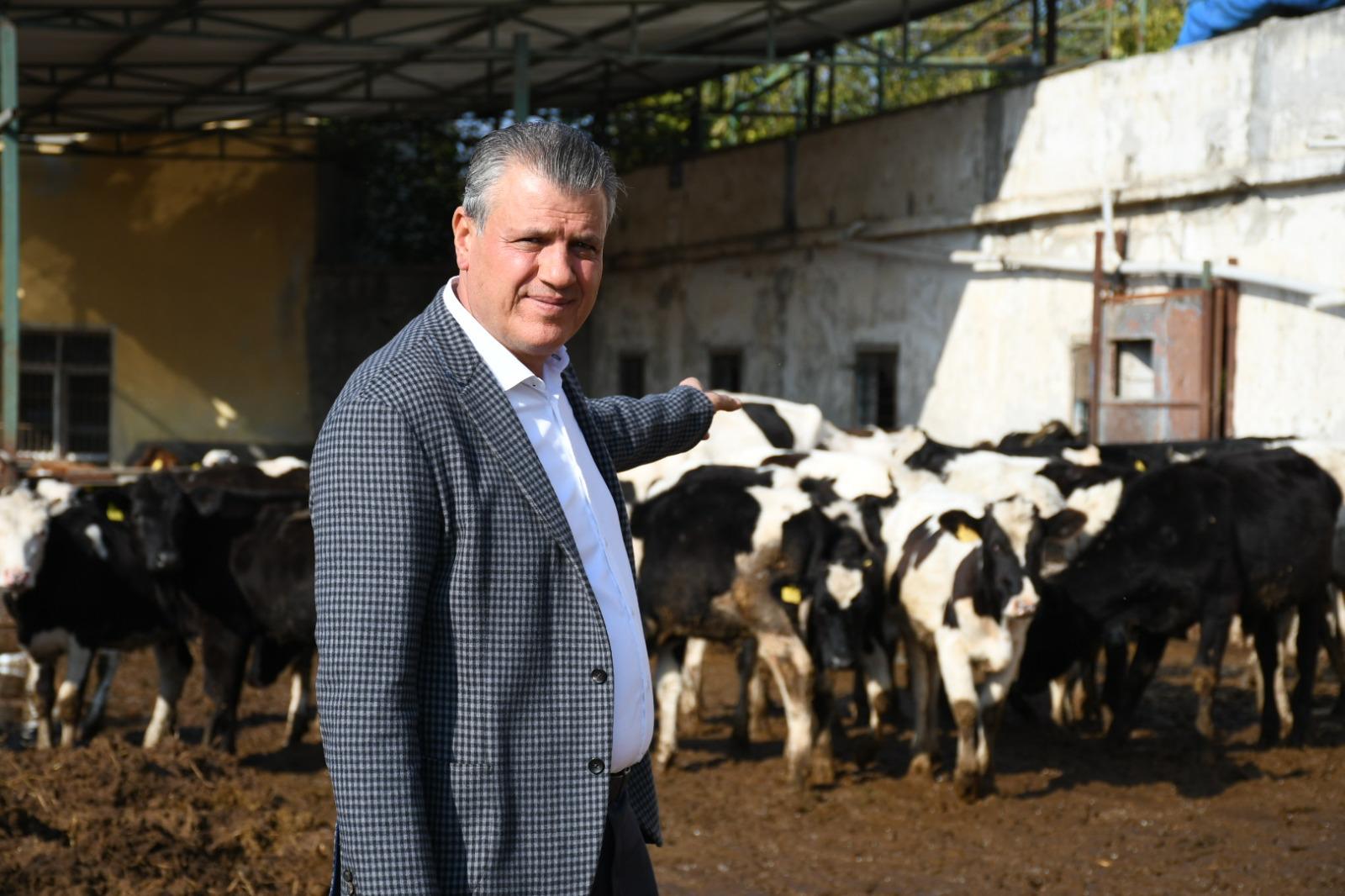 Ayhan Barut'tan 480 bin baş sığır ithalatı kararına tepki: “Hayvancılığa yine ithalat darbesi”