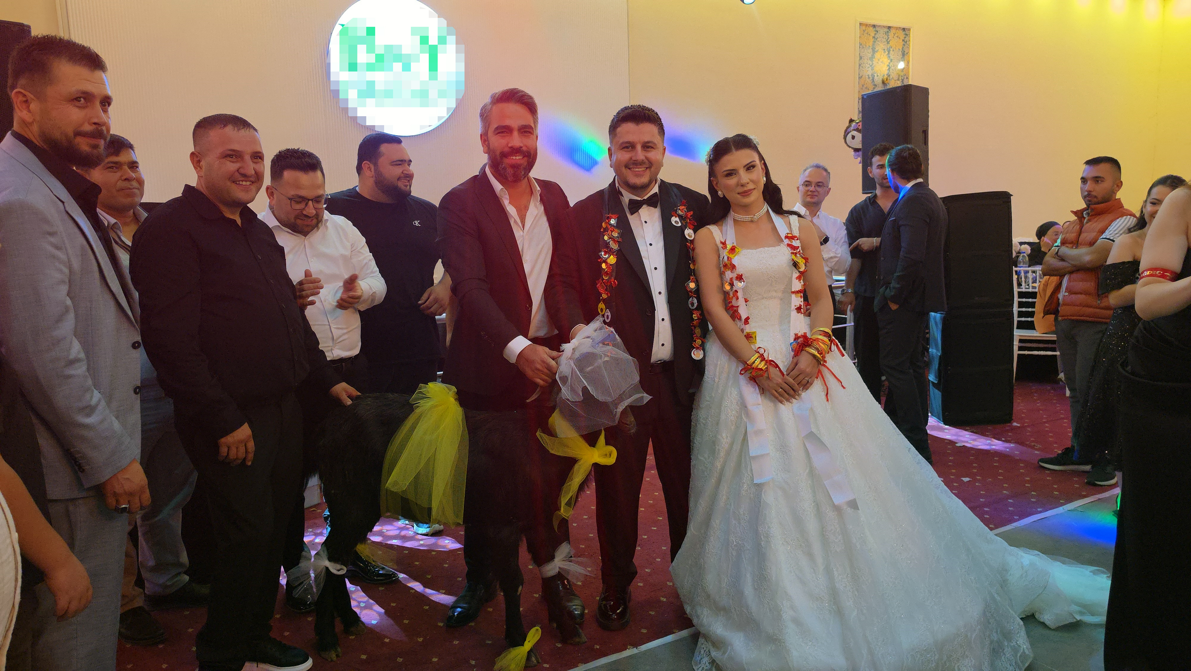 Kozan’da düğünde sıra dışı hediye: Gelin ve damada keçi verildi