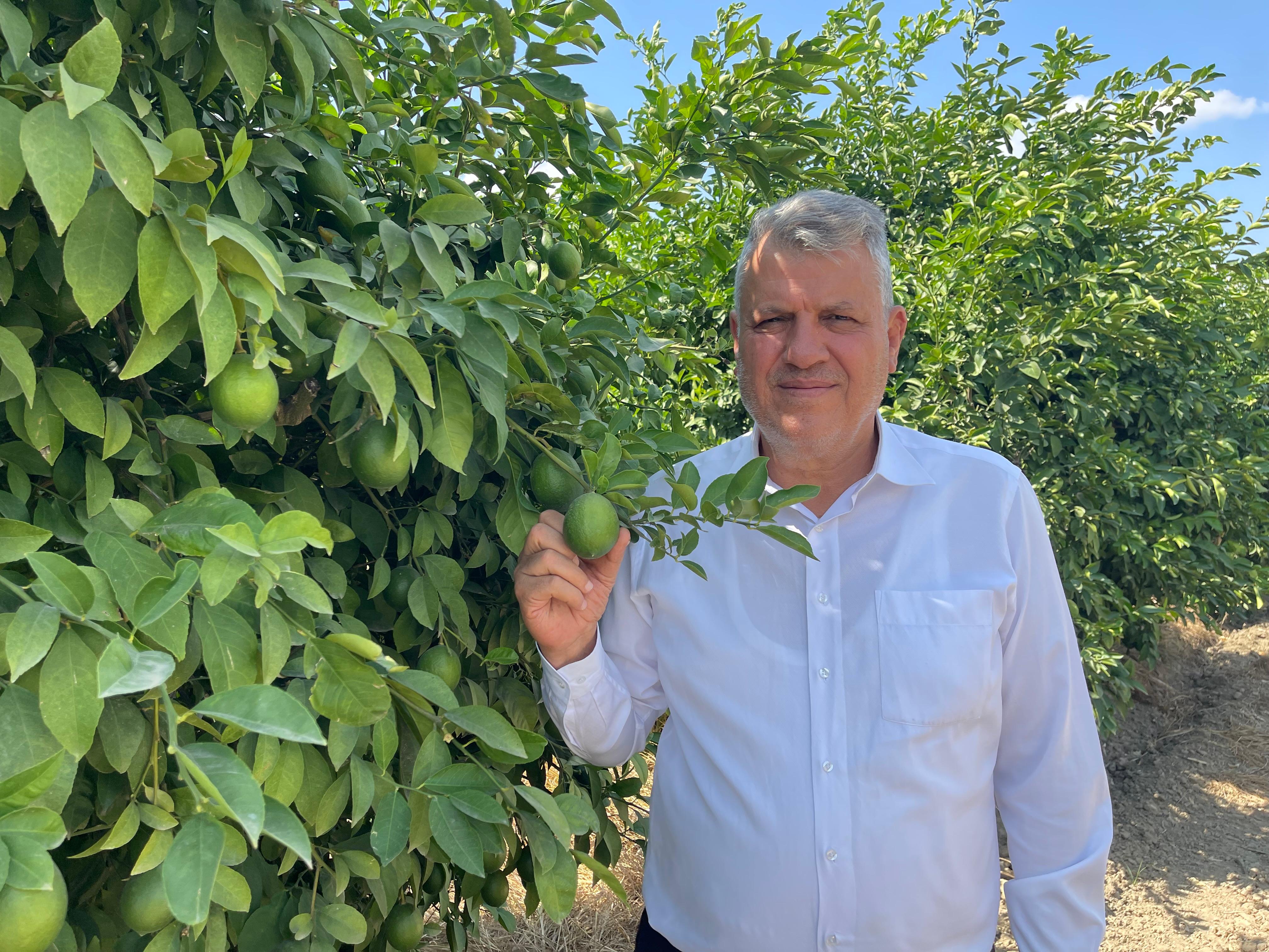 Ayhan Barut: "Limon dalda kaldı, iktidar sadece seyrediyor"