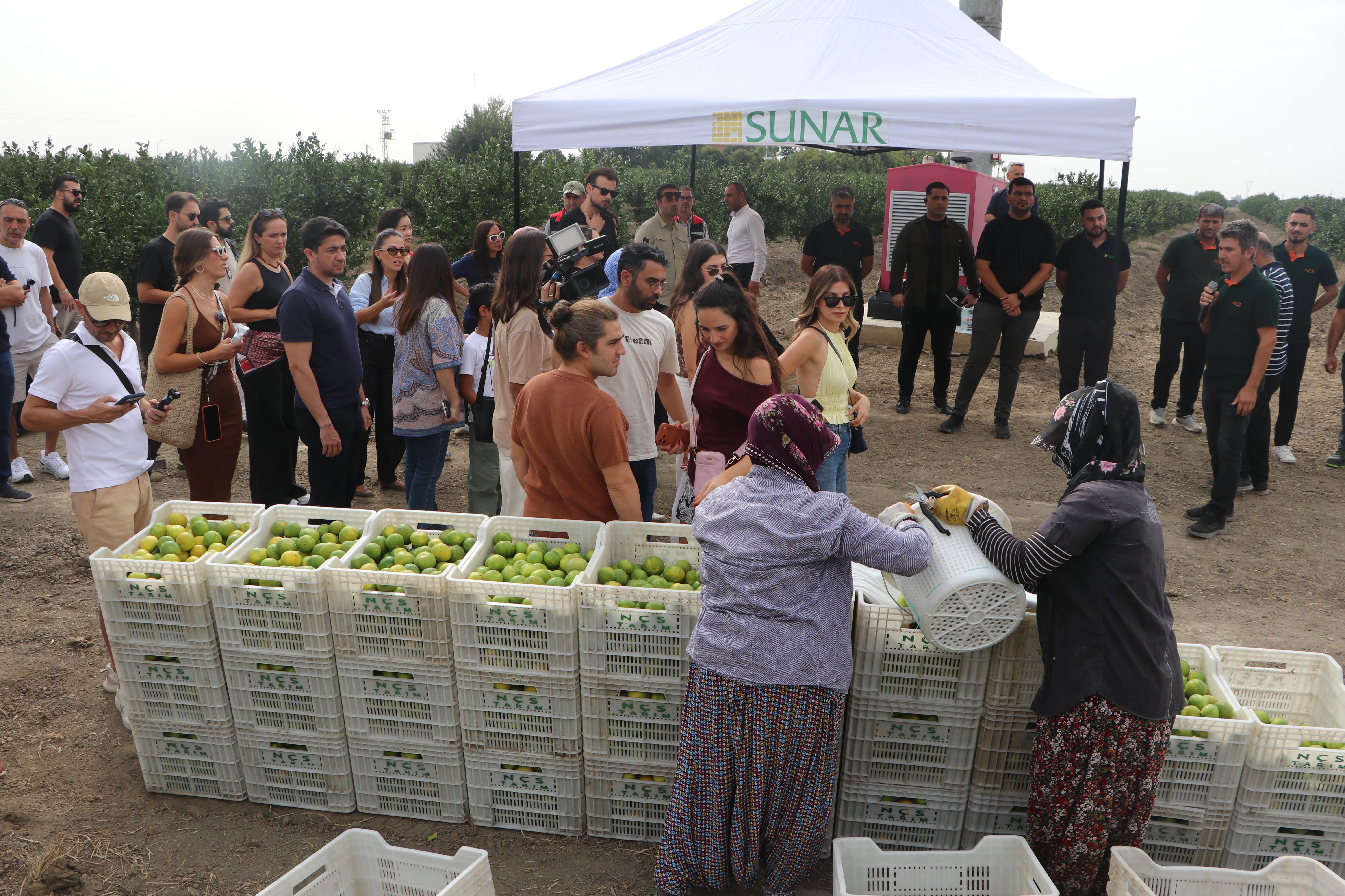 Sunar Yatırım'dan Lezzet Festivali kapsamında hasat etkinliği