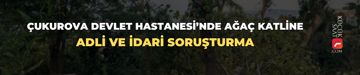 Çukurova Devlet Hastanesi’nde ağaç katline adli ve idari soruşturma