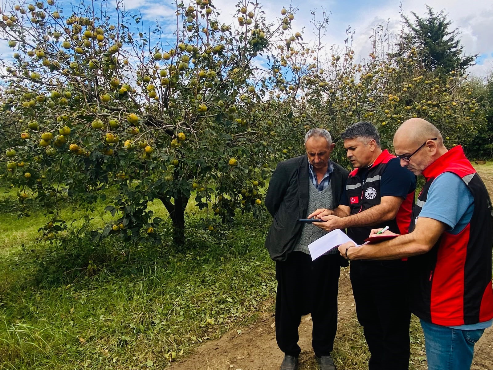 Kozan’da dolunun vurduğu tarım arazilerinde hasar tespiti başladı