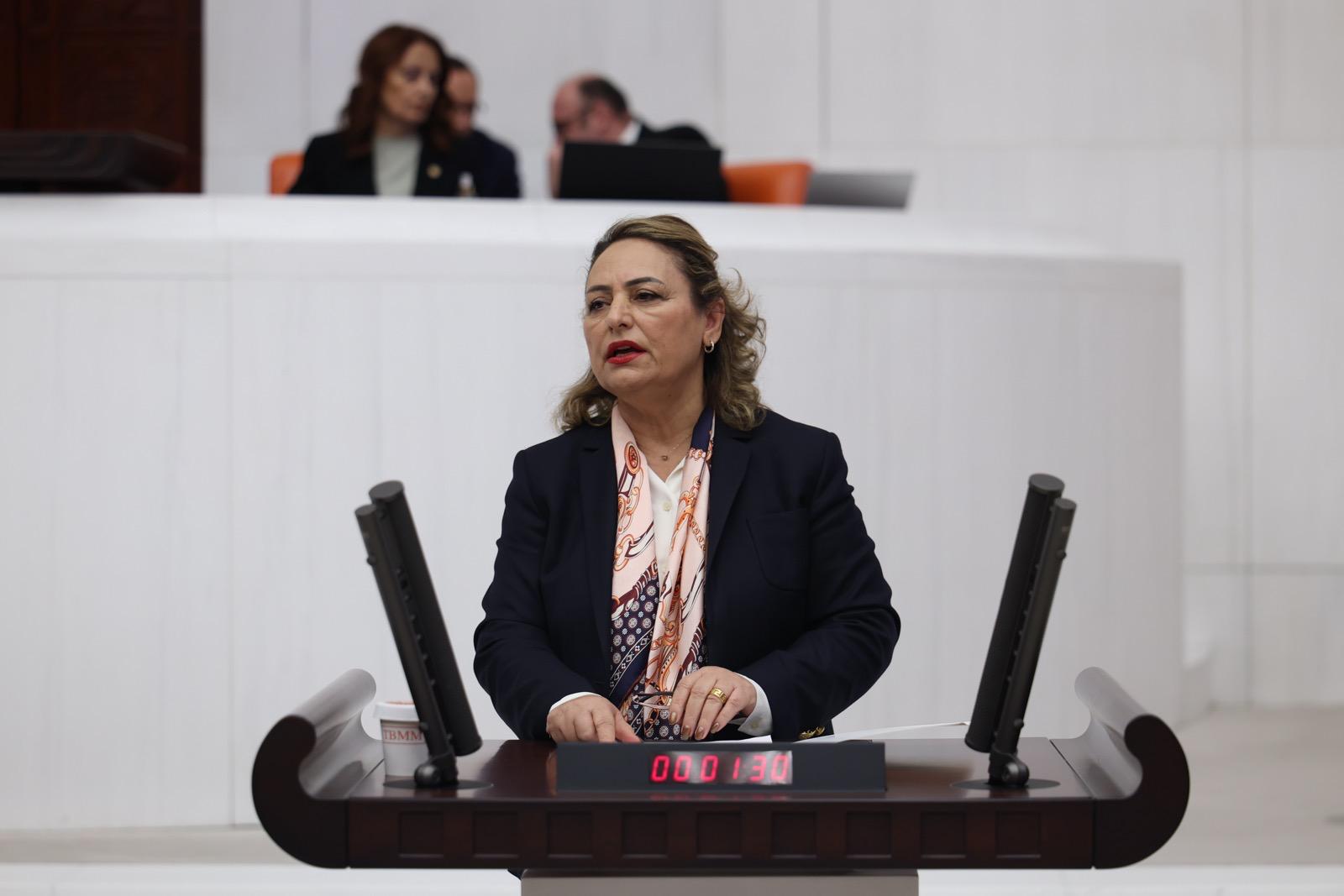 Müzeyyen Şevkin: "Fon krizi değil, yüzyılın vurgunu ve yolsuzluğu!"