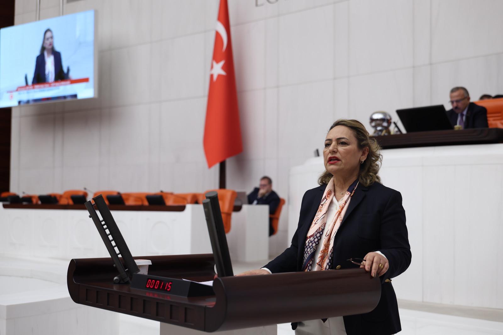 Müzeyyen Şevkin: "Milletin bağışlarıyla büyüyen Kızılay, holdinge dönüştürüldü"