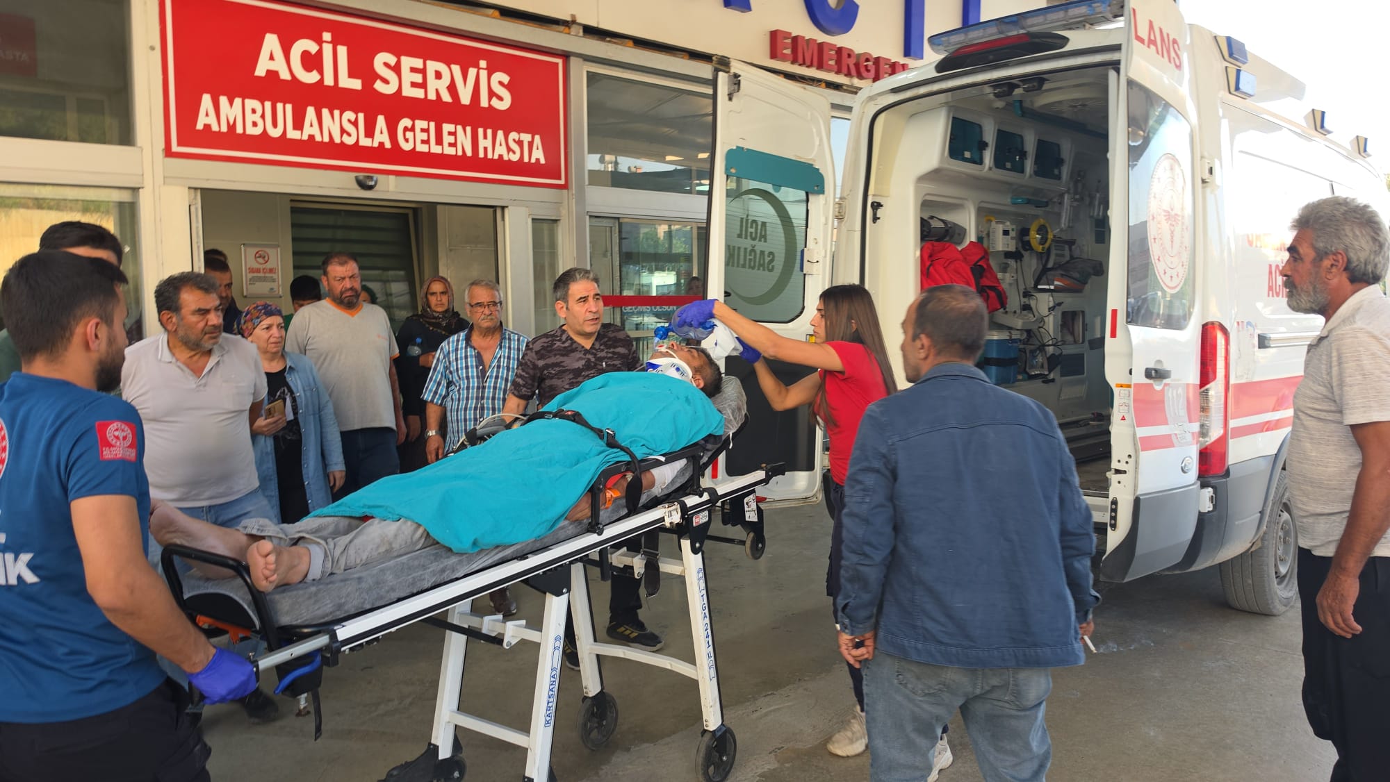 Kozan’da kestiği ağacın altında kalan emekli uzman çavuş ağır yaralandı