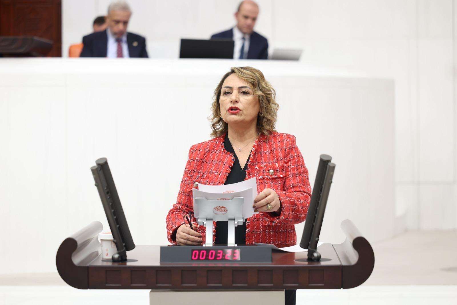 CHP Adana Milletvekili Müzeyyen Şevkin: “830 milyar dolarlık kaybın hesabını kim verecek?”