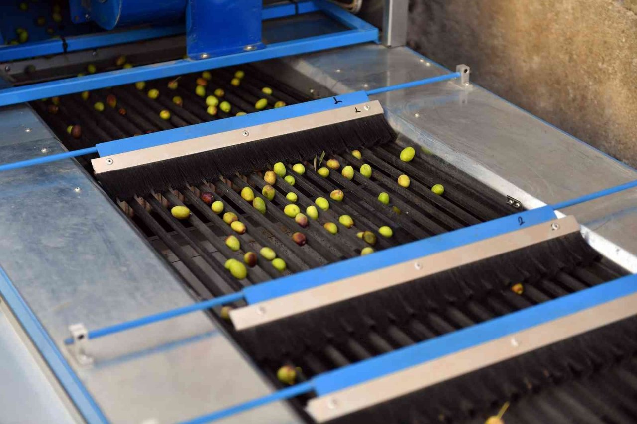 Adana Büyükşehir’den zeytin üreticilerine boylama makinesi desteği