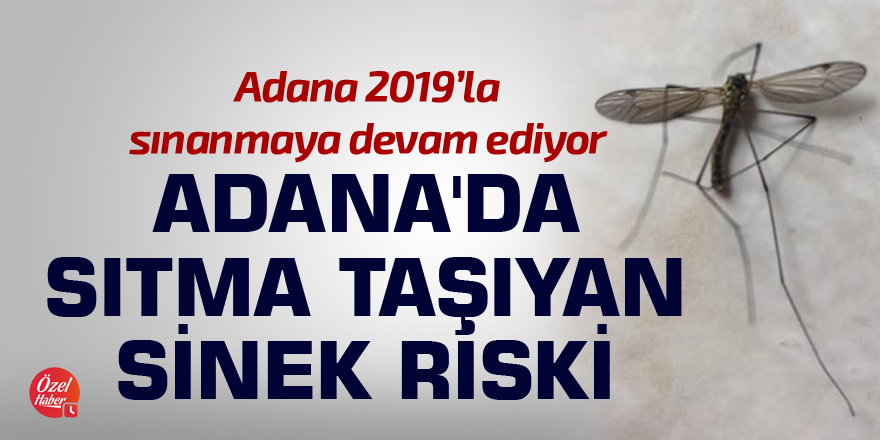 Adana'da sıtma taşıyan sinek riski