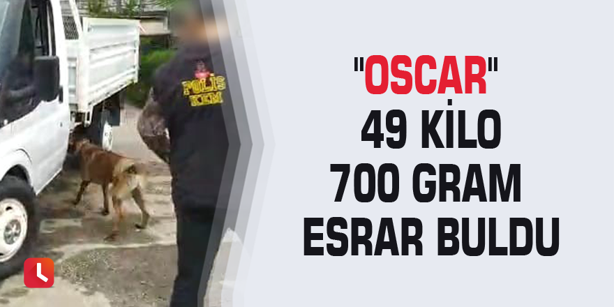 "Oscar" 49 kilo 700 gram esrar buldu
