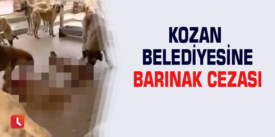 Kozan Belediyesine barınak cezası