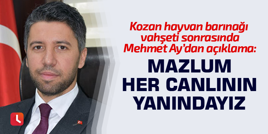 Mehmet Ay: Mazlum her canlının yanındayız