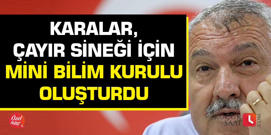 Karalar, çayır sineği için mini bilim kurulu oluşturdu